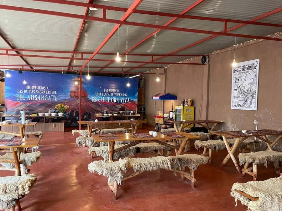 1-day excursion to Palcoyo Mountain + Breakfast and Lunch - Who this Palcoyo trip is best for