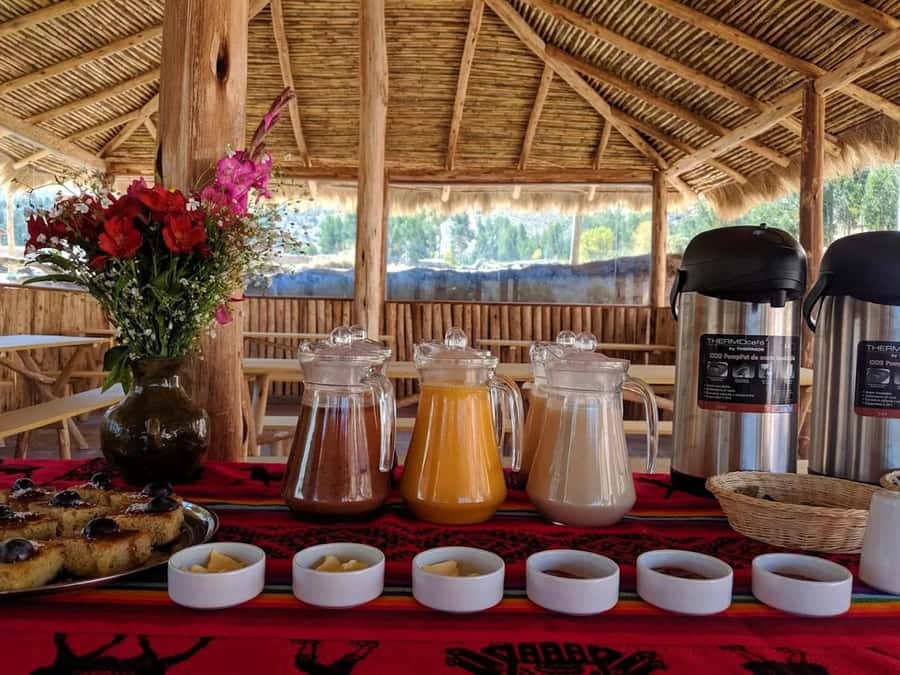 1-day excursion to Palcoyo Mountain + Breakfast and Lunch - Should you book this Palcoyo Mountain of Colors day trip?