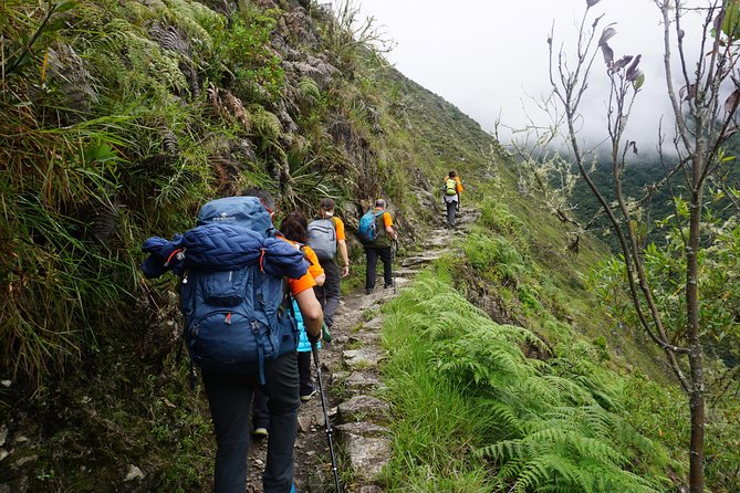 1 Day Inca Trail Tour to Machu Picchu Hike - The 7-hour Inca Trail walk: Chachabamba, Wiñayhuayna, Sun Gate