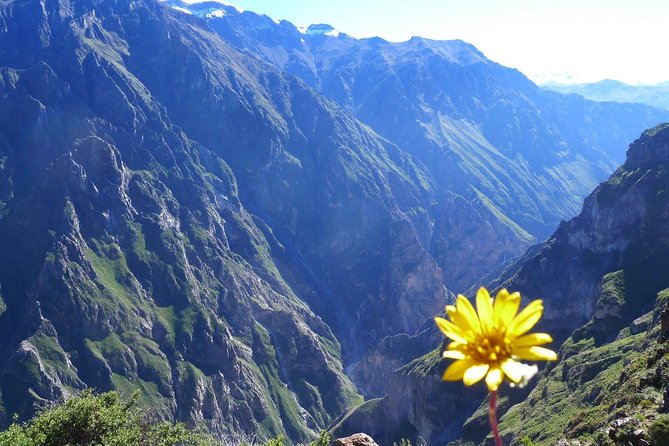 2 day 1 night trek / Colca Canyon - Day 1 trekking: long downhill time and knee care