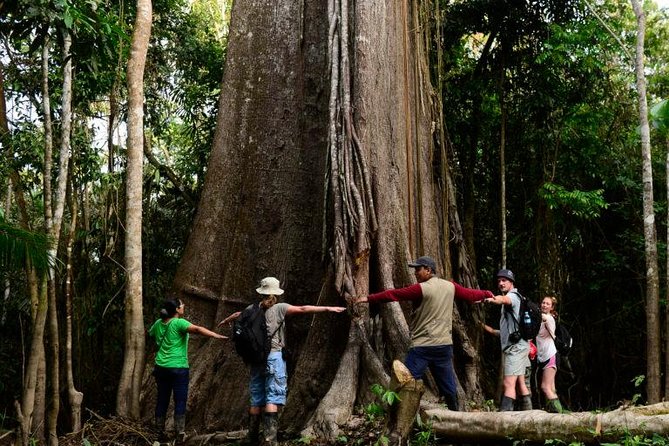 2-Day All Inclusive Guided Jungle Tour from Iquitos at Maniti Eco-Lodge - Day 1 Evening: The Nocturnal Jungle Hike