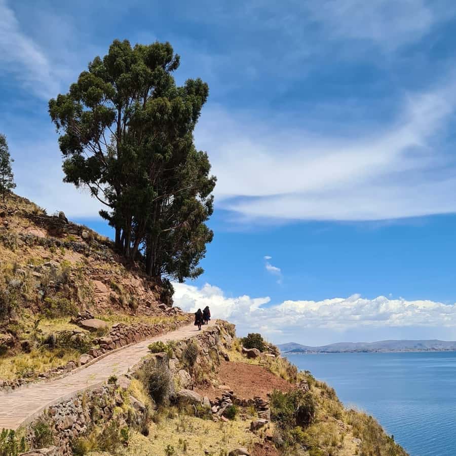 2-Day Amantani Island homestay overnight Tour from Puno - Taquile Island day: UNESCO textiles, market time, and lake views for lunch