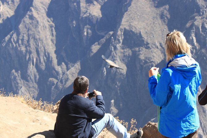 2-Day Colca Canyon, Vicuna Reserve and Condors from Arequipa - Condor Cross at sunrise: why early timing changes everything