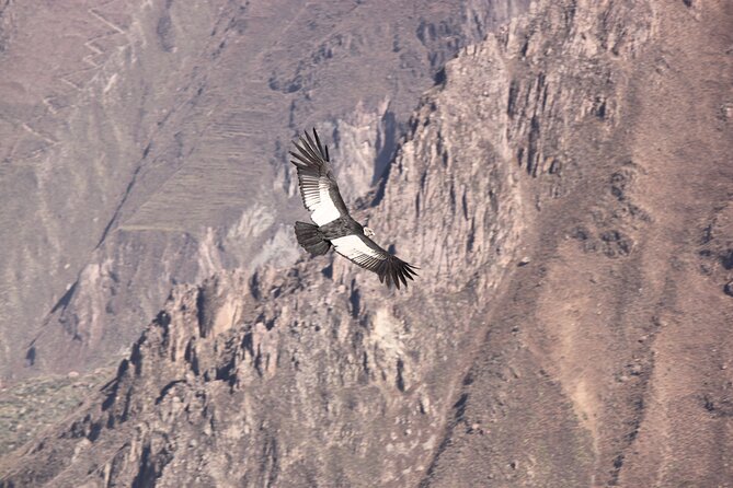 2-Day Colca Canyon, Vicuna Reserve and Condors from Arequipa - Getting your overnight right: Chivay vs Colca Lodge Hotel