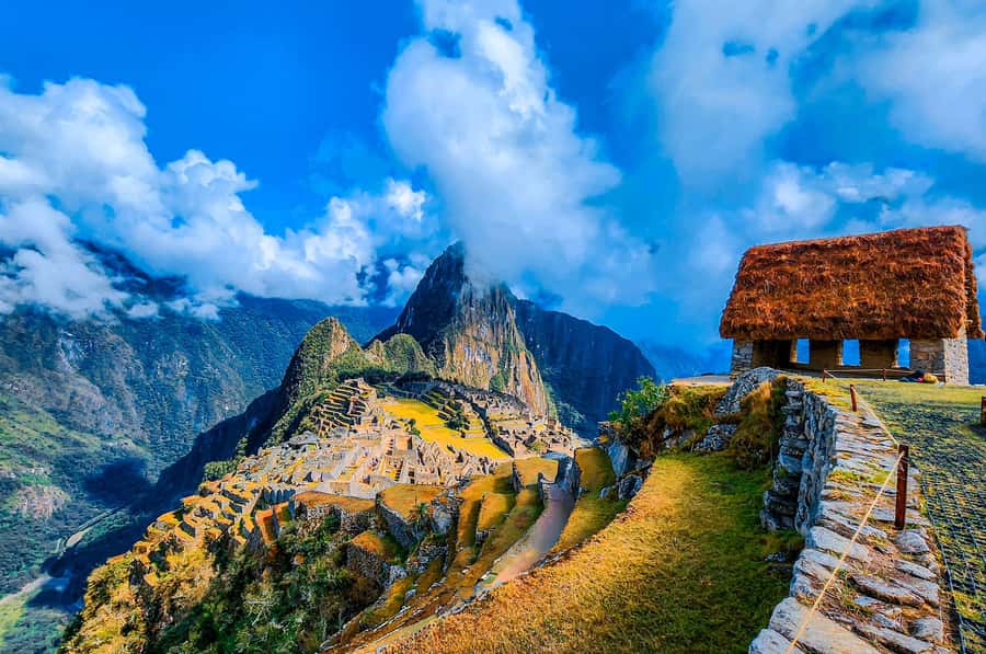 2-Day Inca Trail Hike to Machu Picchu & Panoramic Train - Wiñay Wayna, Terraces, and the Feel of Inca Engineering Up Close