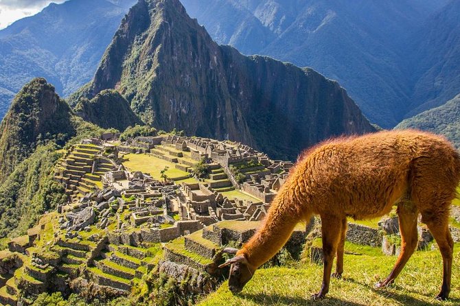 2 Day Machu Picchu Train Adventure from Cusco - The Value Question: Does $407 for Machu Picchu by Train Add Up?
