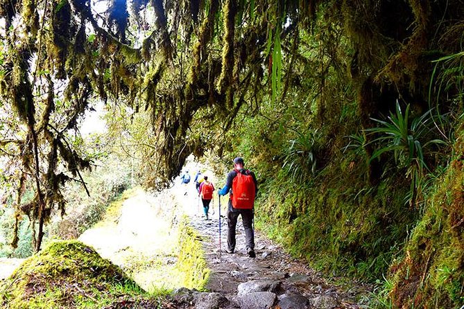 2-Day Private Tour of the Inca Trail to Machu Picchu - The cloud forest climb toward Wiñay Wayna and what to watch for
