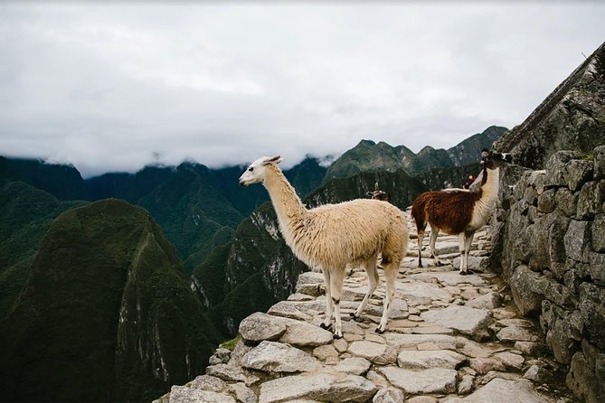 2-Day Short Inca Trail to Machu Picchu - Price and Logistics: What You Are Actually Paying For