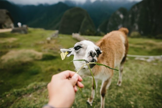 2-Day Short Inca Trail to Machu Picchu - Practical Tips That Make the Trek Feel Easier