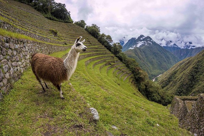 2-Day Short Inca Trail to Machu Picchu - Weather and Best Expectations for a Smooth Experience