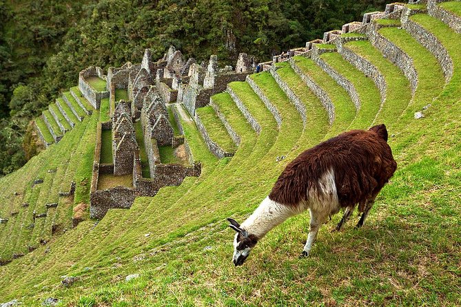 2 Day - Short Inca trail to Machu Picchu - Private Services - Aguas Calientes overnight: comfort that helps you enjoy the hike