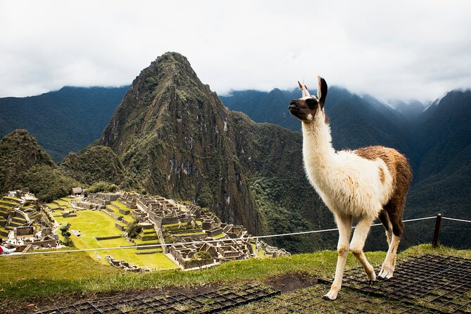 2-Day Short Inca Trail to Machu Picchu with Scenic Train - Machu Picchu Day 2: a guided tour for the meaning, then time for your own pace