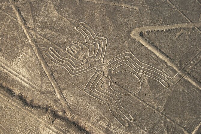 2 Day Tour from Lima: Nazca Lines Flight, Paracas, and Huacachina - Ica winery stop: pisco tasting as a break from the adrenaline