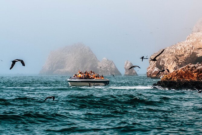 2 Day Tour from Lima: Paracas, Ballestas Island and Huacachina - Mirasur KM 88: a practical breakfast stop that actually helps