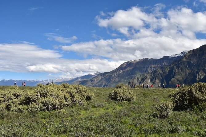2-Day Tour to the Magical Colca Canyon - Hotel, guide language, and how well the tour fits real travelers