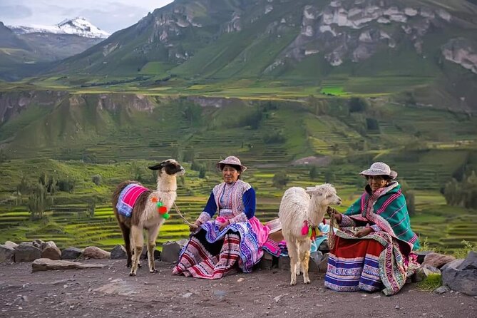 2-Day Tour to the Magical Colca Canyon - Day 1: Salinas y Aguada Blanca reserve, Pata Pampa, then Chivay and Chacapi