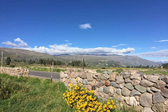 2 Day Trek Including Transfer to Puno / Colca Canyon - Sangalle at about 17:00: pool time and a lodge night in the canyon