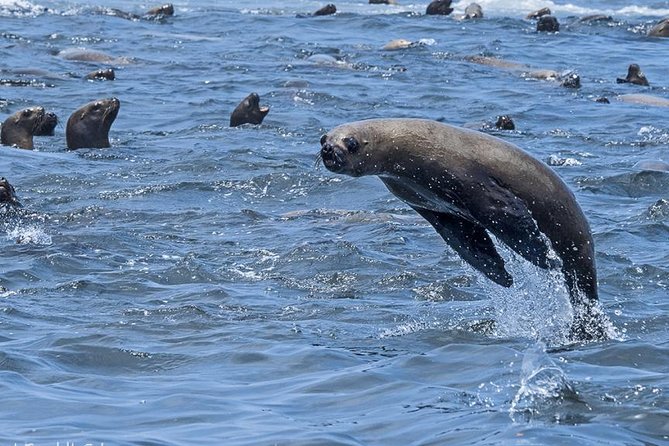 2 Days/1 Night Paracas, Huacachina and Nazca from Lima - Should you book it?