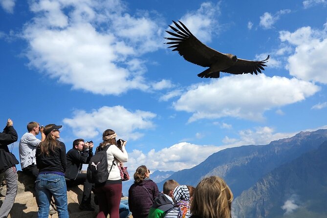2 Days and 1 Night Tour from Puno to Colca Canyon and Arequipa - Key Things I’d Pin to Your Map
