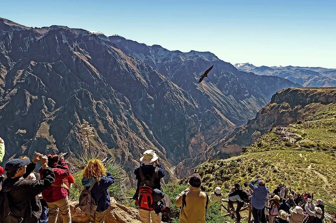 2 Days and 1 Night Tour from Puno to Colca Canyon and Arequipa - Colca Canyon on Day 2: Depth, Terraces, and Steep Walls
