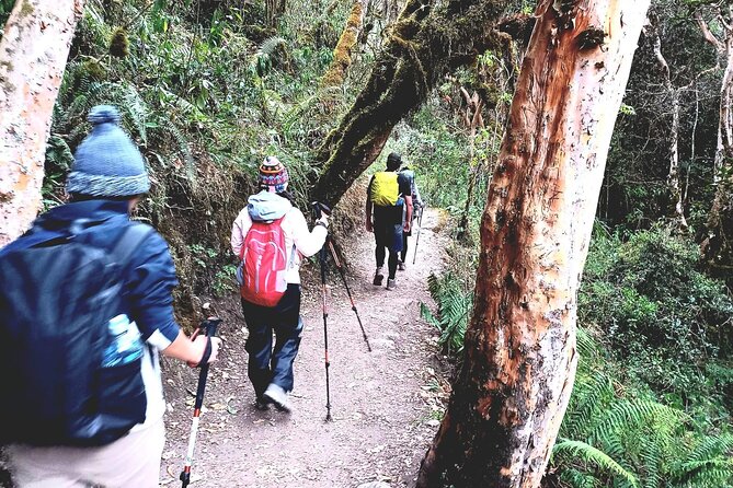 2 Days and 1 Night Tour of Inca Trail to Machu Picchu - Inti Punku (Sun Gate) Reveal, Then the Transfer to Aguas Calientes