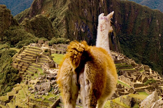 2 Days Tour to Machu Picchu by Train - Cusco To Aguas Calientes By Train: Less Tired, More Present