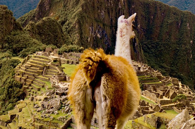 2 Days Tour to Machu Picchu by Train - What You’ll Learn From the Guides (Beyond the Usual Talking Points)