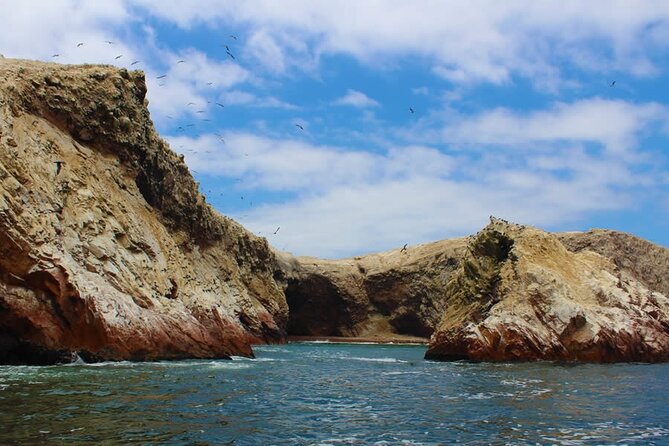 2-Hour Tour to the Ballestas Islands from Puerto San Martín - Price and value: is $49 per person worth it?