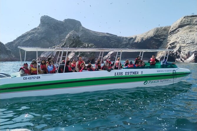 2-Hour Tour to the Ballestas Islands from Puerto San Martín - Where you meet: Terminal Portuario General San Martín and the pier puzzle