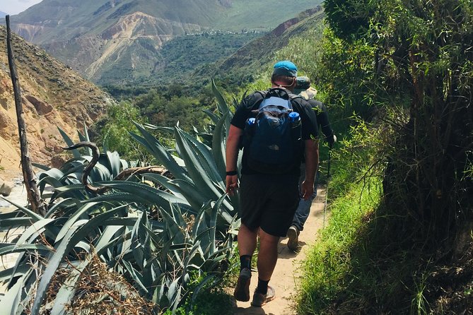 3 Day 2 Night Trek / Colca Canyon - Accommodation and meals: the “comfort math” on a hard route