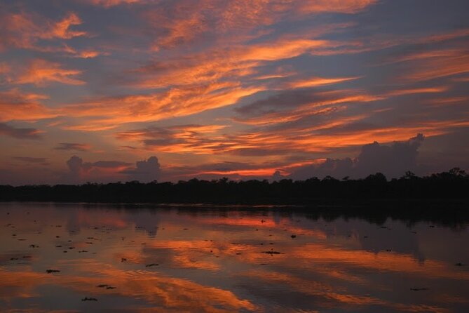 3-Day All Inclusive Guided Jungle Tour from Iquitos at Maniti Eco-Lodge - Dolphin Watching at the Camp, Plus a Nocturnal Night Hike