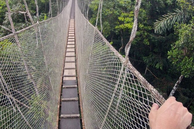 3-Day All Inclusive Guided Jungle Tour from Iquitos at Maniti Eco-Lodge - Maniti Eco-Lodge Comfort Level, Pool, WiFi, and What All Inclusive Covers