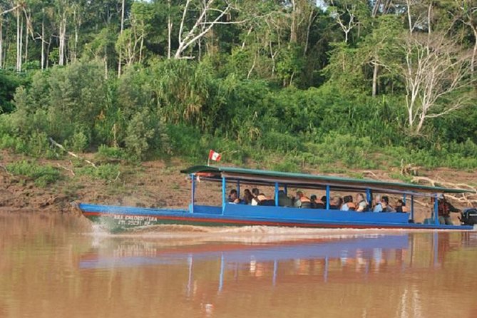 3-Day Amazon Jungle Tour at Eco Amazonia Lodge ECOLOGICO - From Puerto Maldonado to Eco Amazonia Lodge, minus the hassle