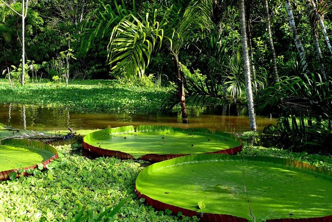 3-Day Amazon Jungle Tour at Eco Amazonia Lodge ECOLOGICO - Wildlife spotting: why your guide makes the biggest difference