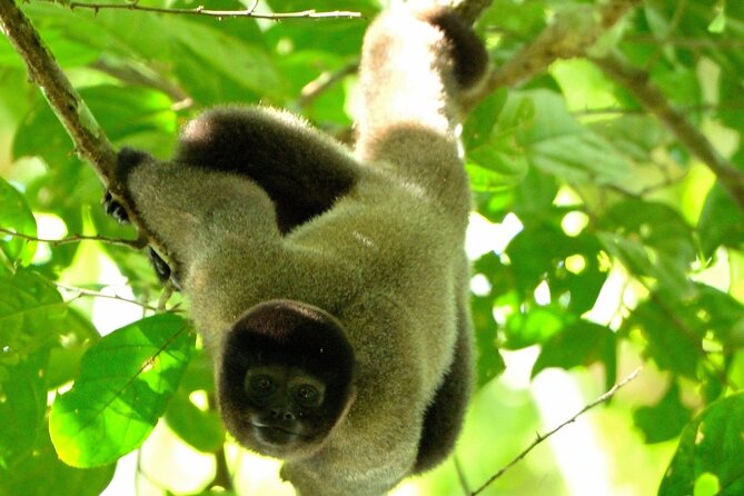 3-Day Eco-Sustainable Private Tour Manu National Park - Eco-sustainable Manu in 3 days, what makes it feel special