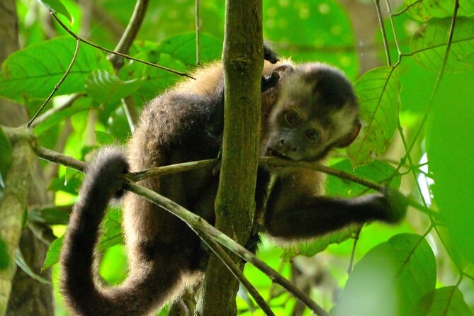 3-Day Eco-Sustainable Private Tour Manu National Park - Price and value: what $389 includes (and why that matters)