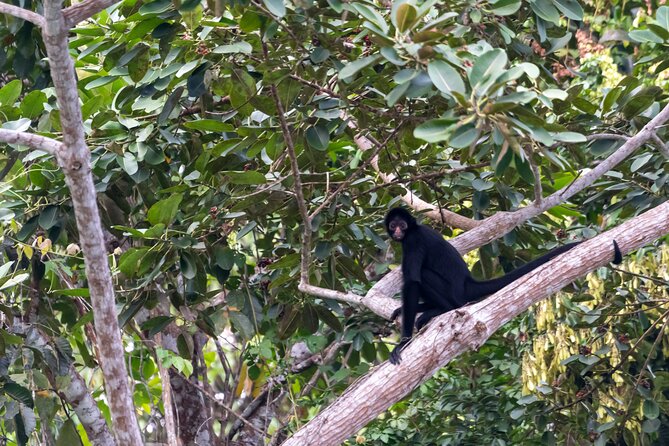 3-Day Eco-Sustainable Private Tour Manu National Park - Meals, hostels, and charging devices with solar panels