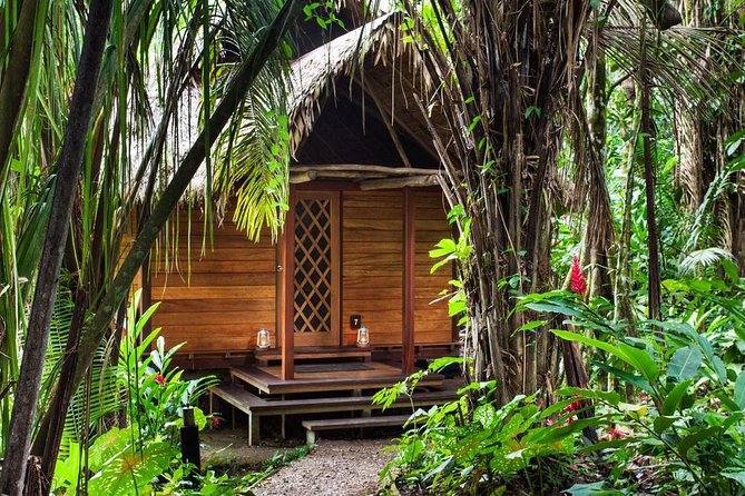 3-Day Tambopata Amazon Jungle Tour at Hacienda Concepción - Day 3: jungle wake-up, quick boat back, and a Butterfly House stop