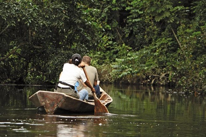 3-Day Tambopata Amazon Jungle Tour at Hacienda Concepción - Day 2: Lake Sandoval canoe calm, then a canopy walkway high above the forest