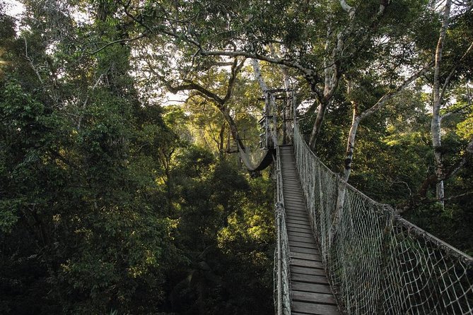 3-Day Tambopata Amazon Jungle Tour at Inkaterra Reserva Amazónica - What to pack, and what will actually make your day easier