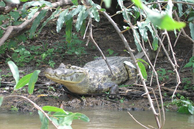 3 Day Tambopata National Reserve Tour with Local Guide & Wildlife - Why Tambopata From Puerto Maldonado Feels Efficient