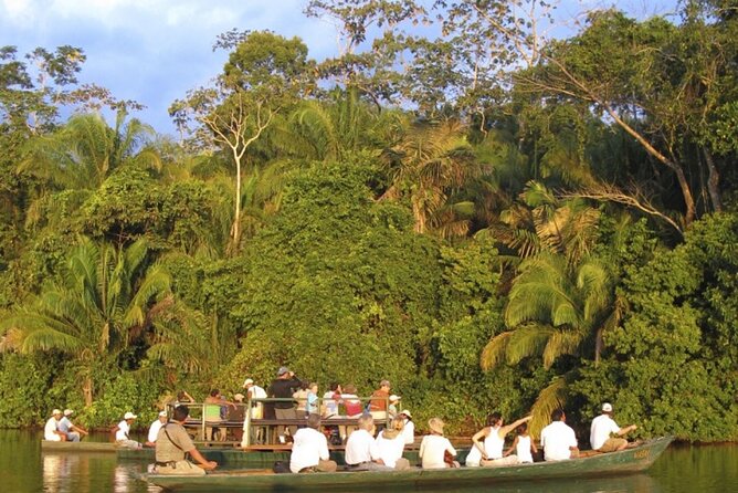3 Day Tambopata National Reserve Tour with Local Guide & Wildlife - Price and What $296 Covers (and Why It Can Be Fair)