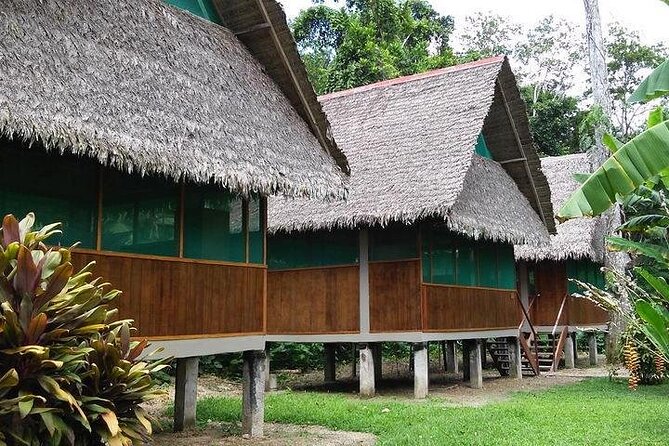 3 days 2 nights - Peruvian Tambopata Jungle - Lodge reality check, downtime, and comfort expectations