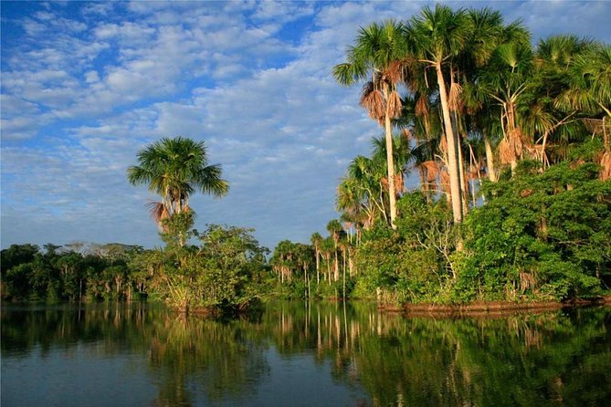 3 days 2 nights - Peruvian Tambopata Jungle - Wildlife expectations: what you can hope for, and what to keep realistic