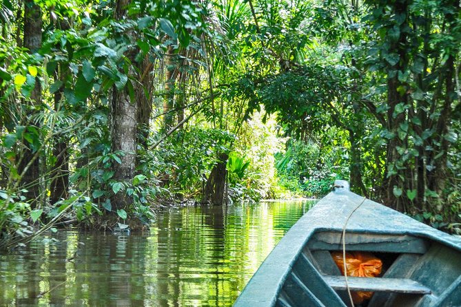 3 days 2 nights - Tambopata Jungle - Day 1 reality check: early nights, early mornings, and jungle basic comforts
