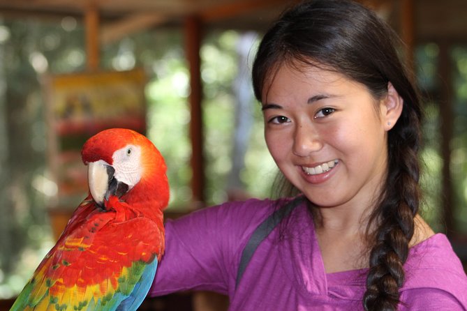 3 days 2 nights - Tambopata Jungle - How Day 2 feels in real life: the best wildlife day and why