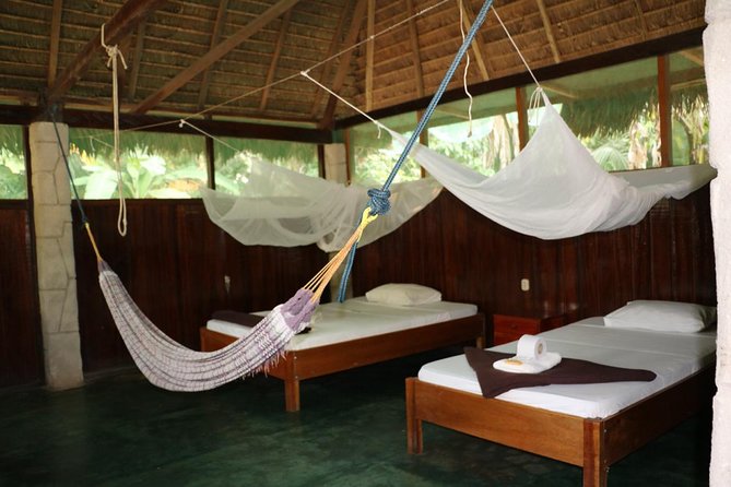 3 days 2 nights - Tambopata Jungle - What you’re really paying for at $370 per person