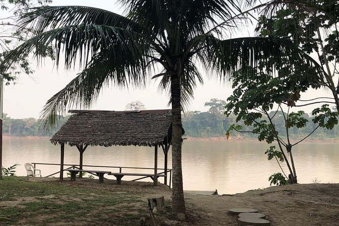 3 days 2 nights - Tambopata Jungle - Day 2: Sandoval Lake by canoe in Tambopata National Reserve