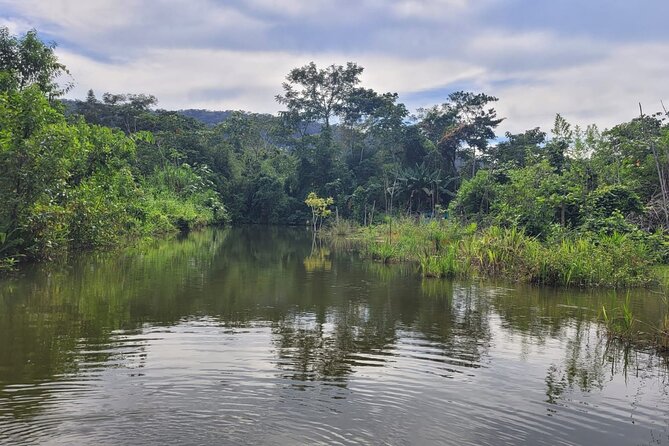 3 Days Amazon Jungle Tour in Manu Peru - Cloud forest on Day 1: short walks, the cock of the rock, and orchids up close
