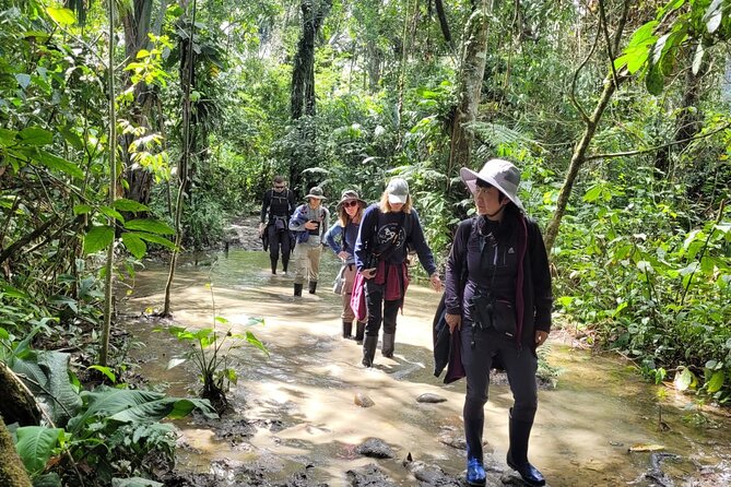 3 Days Amazon Jungle Tour in Manu Peru - Accommodation reality: basic lodging, real jungle sounds, and what to expect at night